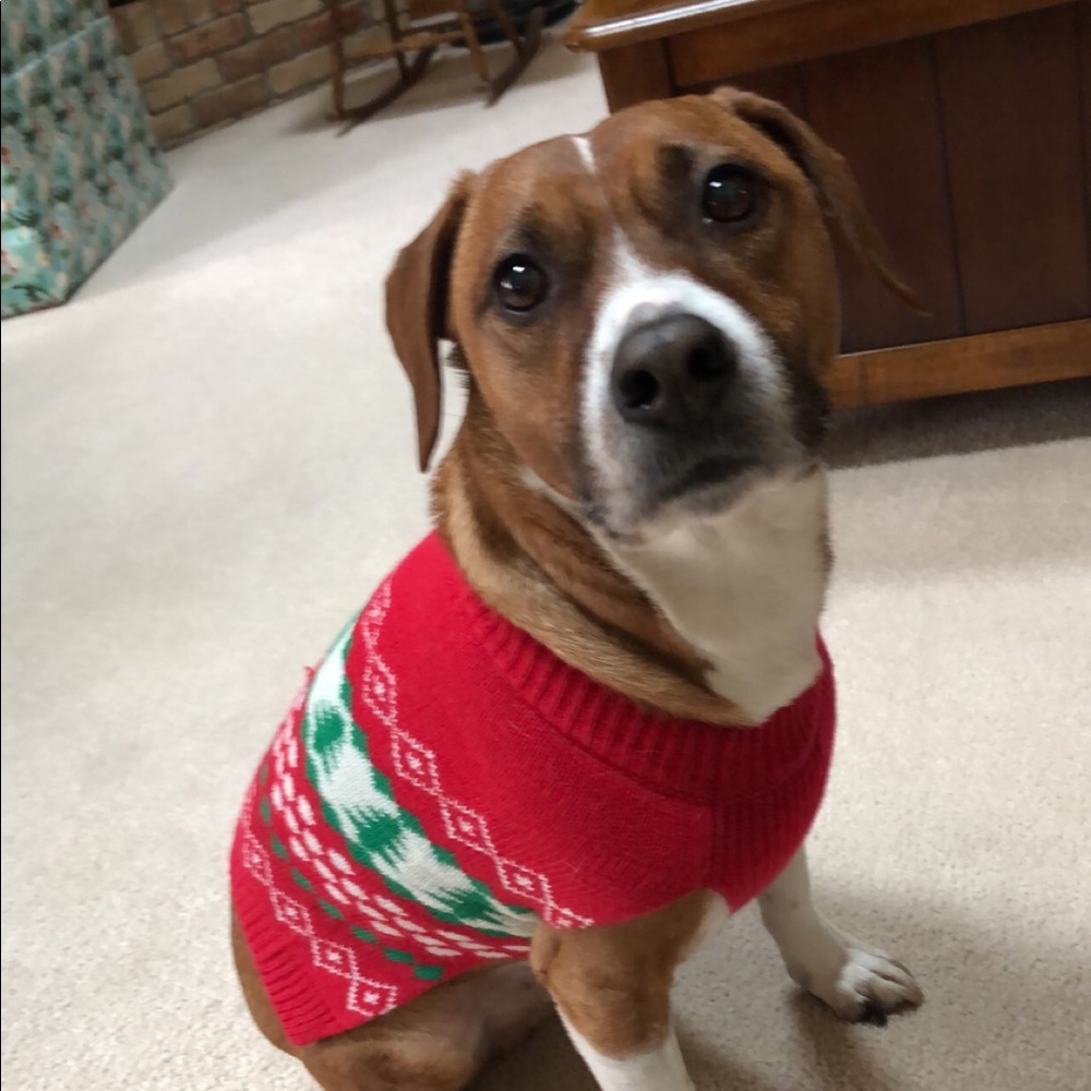 Meet your Posher, Katrina